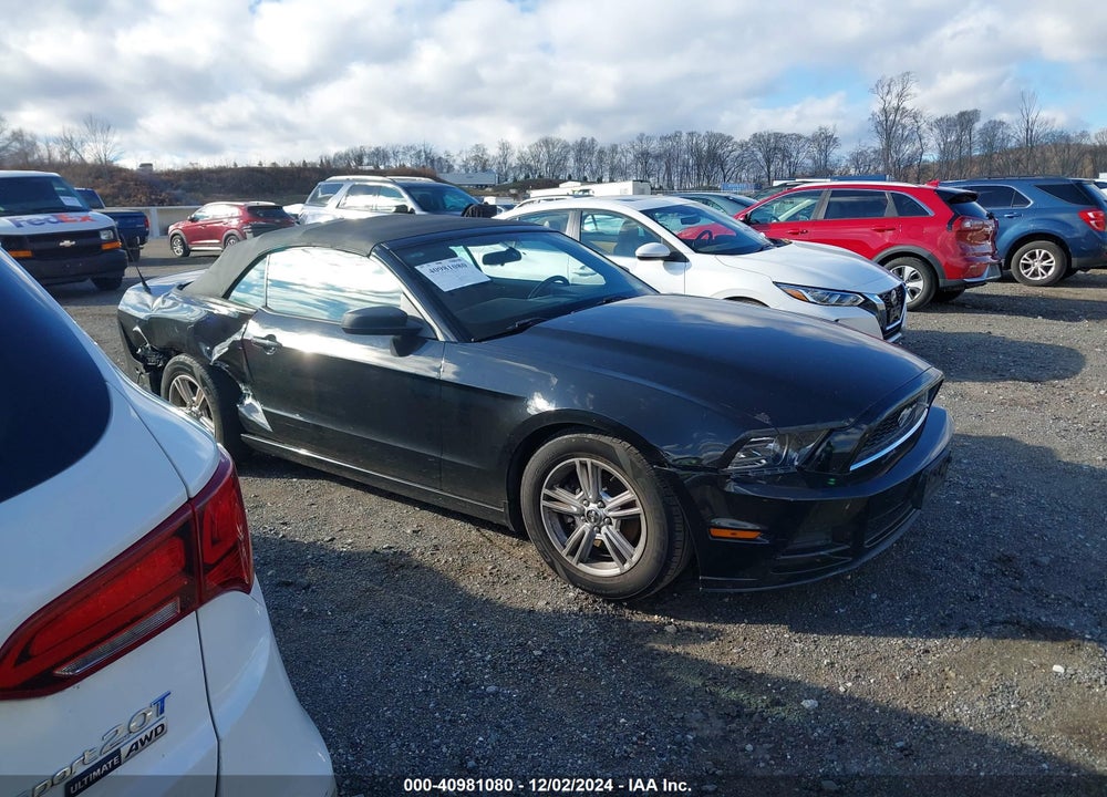 2013 FORD MUSTANG V6 VIN: 1ZVBP8EMXD5237048