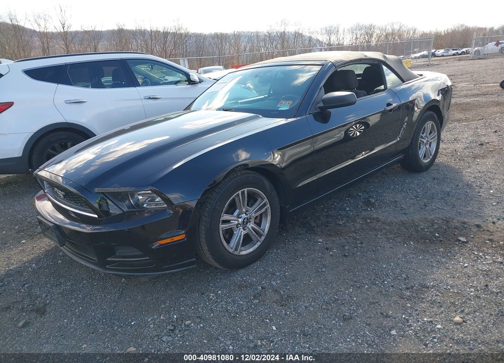 2013 FORD MUSTANG V6 VIN: 1ZVBP8EMXD5237048