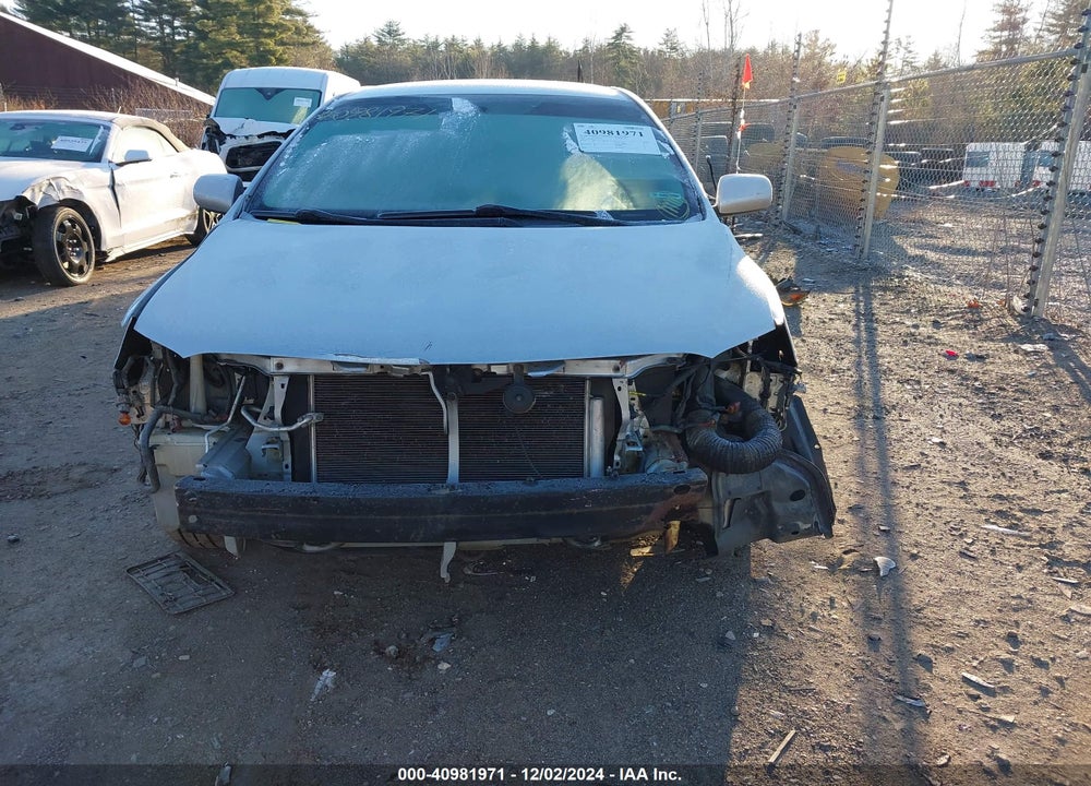 2010 TOYOTA COROLLA LE VIN: 2T1BU4EE7AC521457