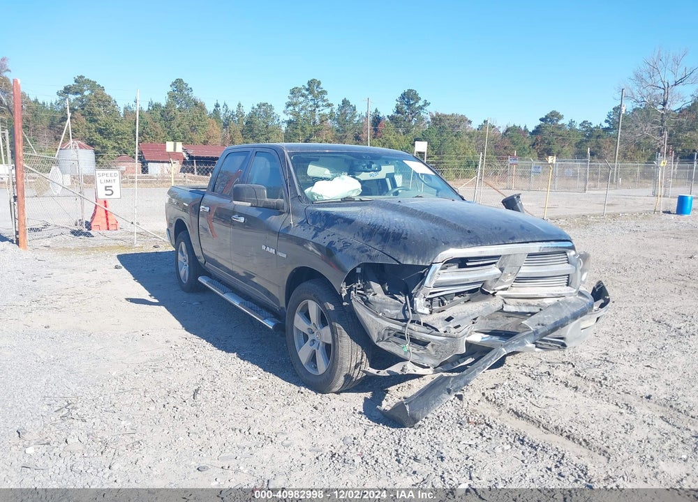 2010 DODGE RAM 1500 SLT/SPORT/TRX VIN: 1D7RB1CT6AS111788