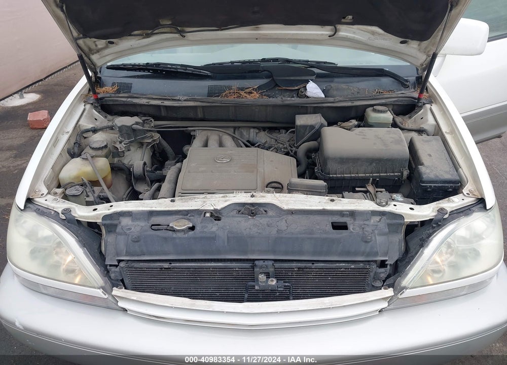 2001 LEXUS RX 300 VIN: JTJGF10U810112419