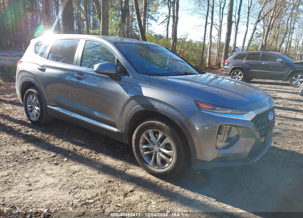2019 HYUNDAI SANTA FE SE VIN: 5NMS2CAD6KH010749