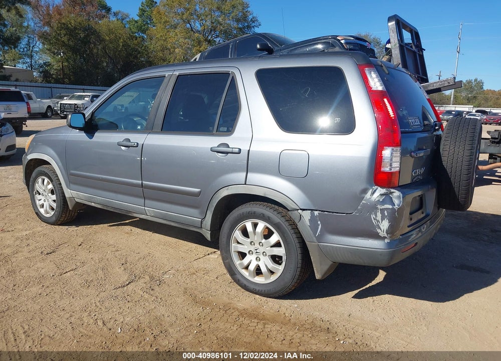 2006 HONDA CR-V SE VIN: JHLRD789X6C020693