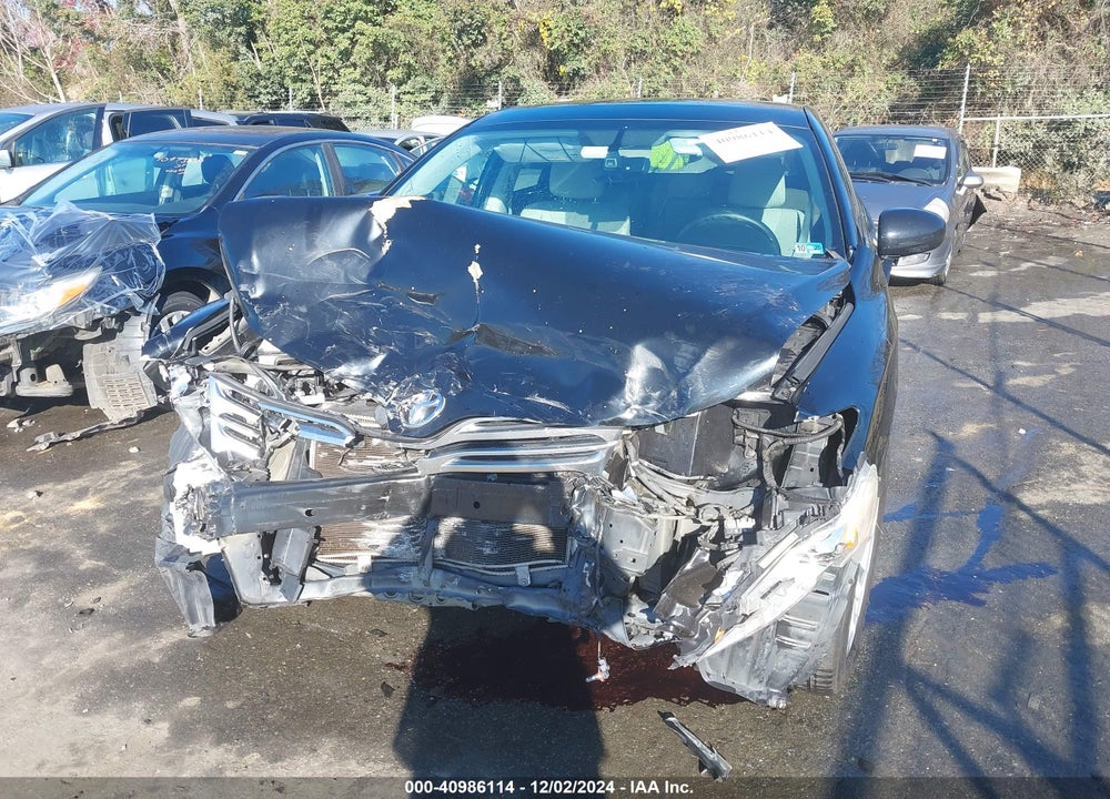 2010 TOYOTA VENZA VIN: 4T3ZA3BB6AU026412