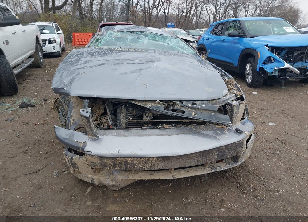 2006 FORD MUSTANG GT VIN: 1ZVHT82H865210799