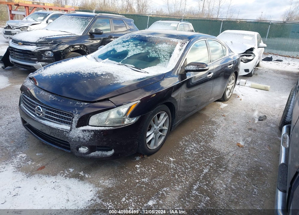 2010 NISSAN MAXIMA 3.5 SV VIN: 1N4AA5APXAC801941