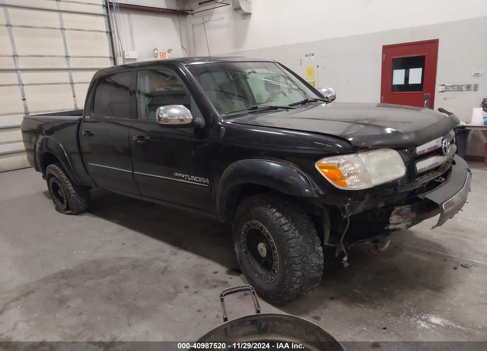 2006 TOYOTA TUNDRA SR5 V8 VIN: 5TBDT44116S519608