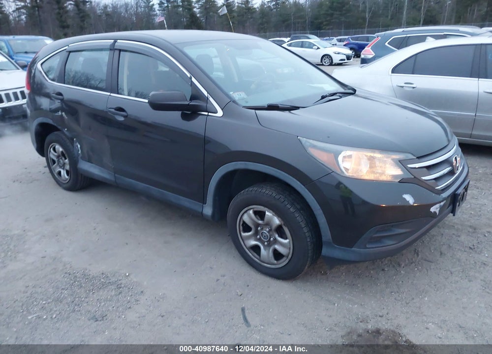 2013 HONDA CR-V LX VIN: 5J6RM4H35DL040641