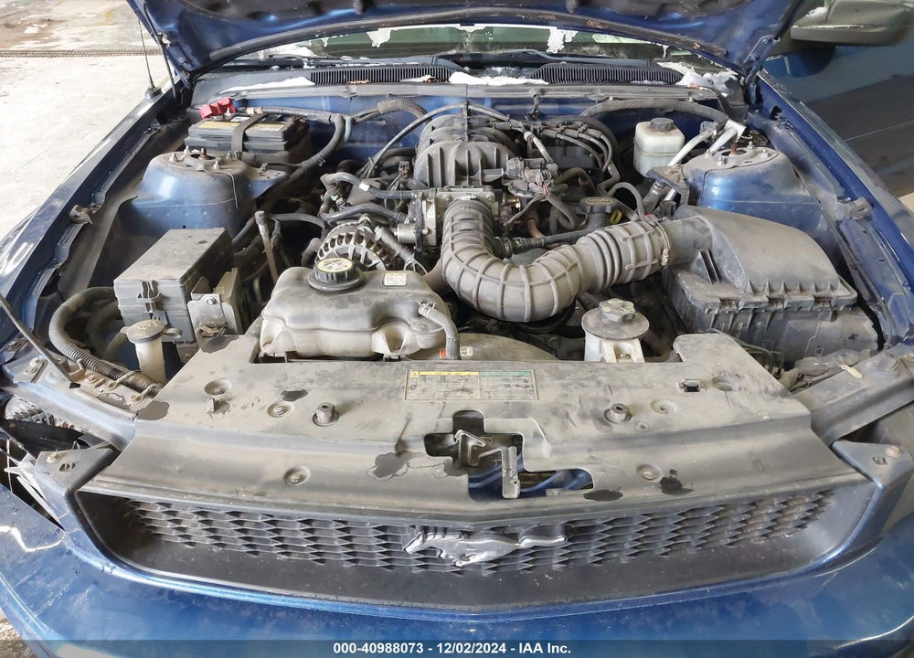 2006 FORD MUSTANG V6 VIN: 1ZVFT80N765244720