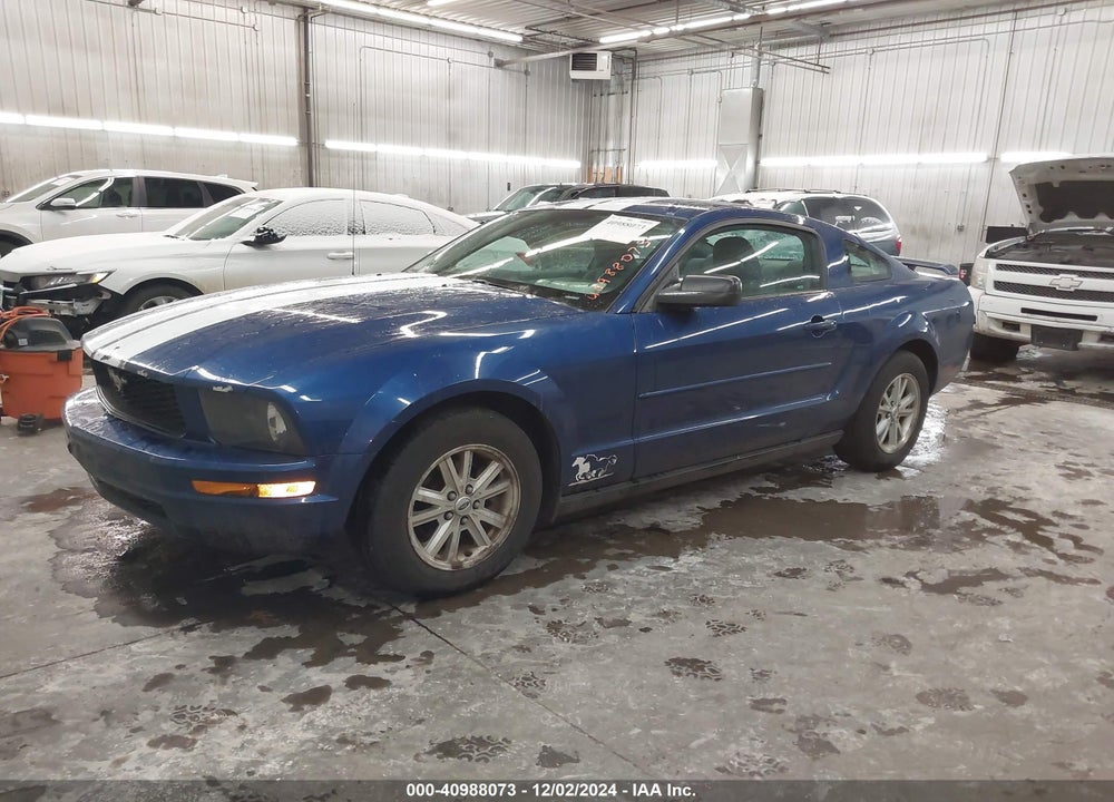 2006 FORD MUSTANG V6 VIN: 1ZVFT80N765244720