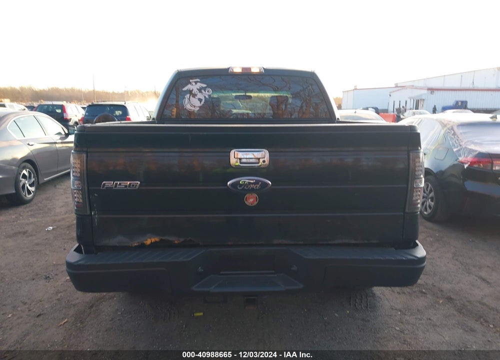 2009 FORD F-150 XL/XLT VIN: 1FTRW14809FA29665