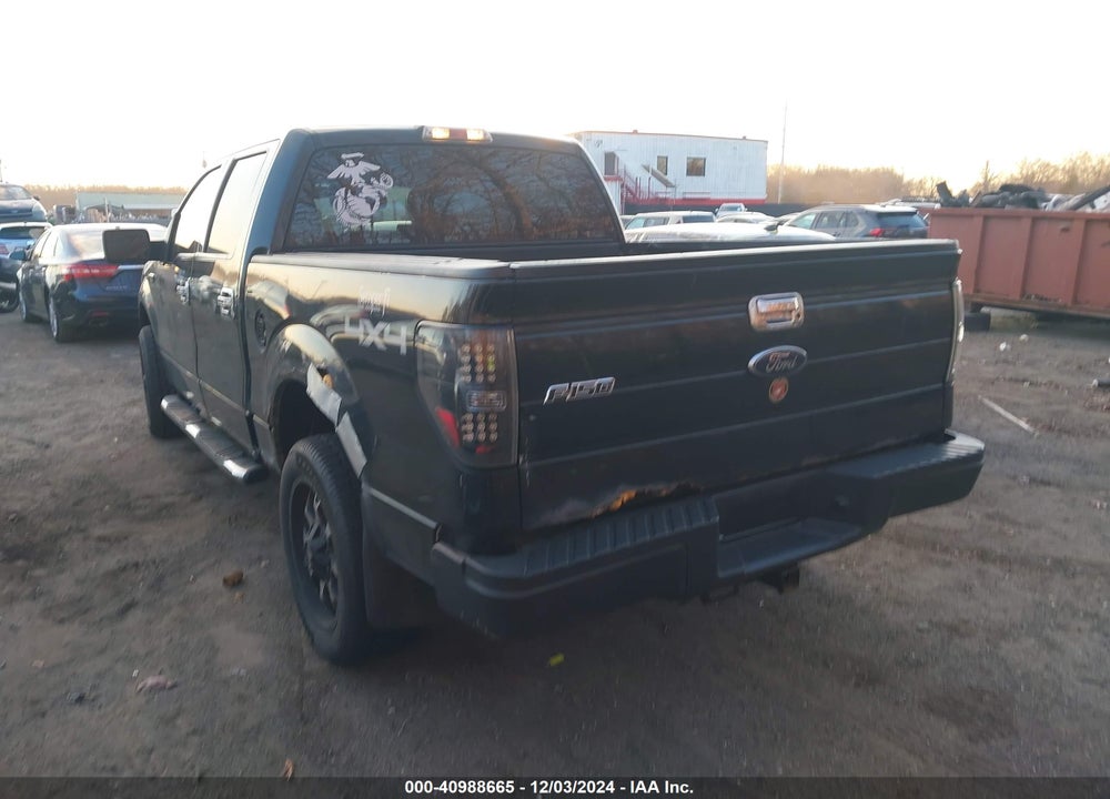 2009 FORD F-150 XL/XLT VIN: 1FTRW14809FA29665