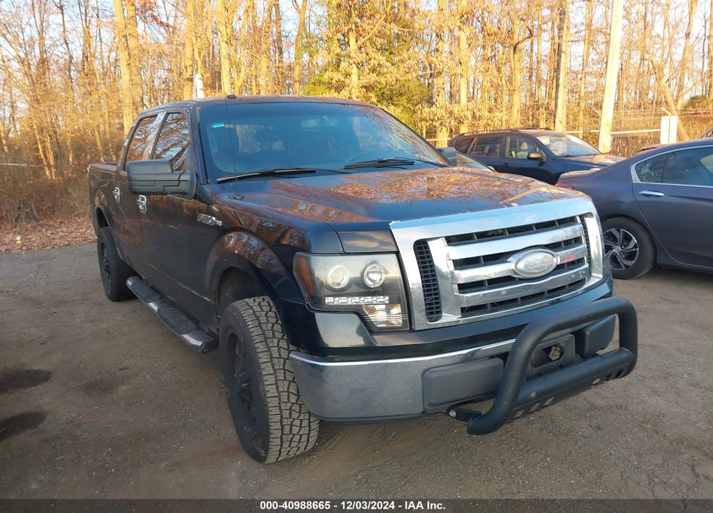 2009 FORD F-150 XL/XLT VIN: 1FTRW14809FA29665