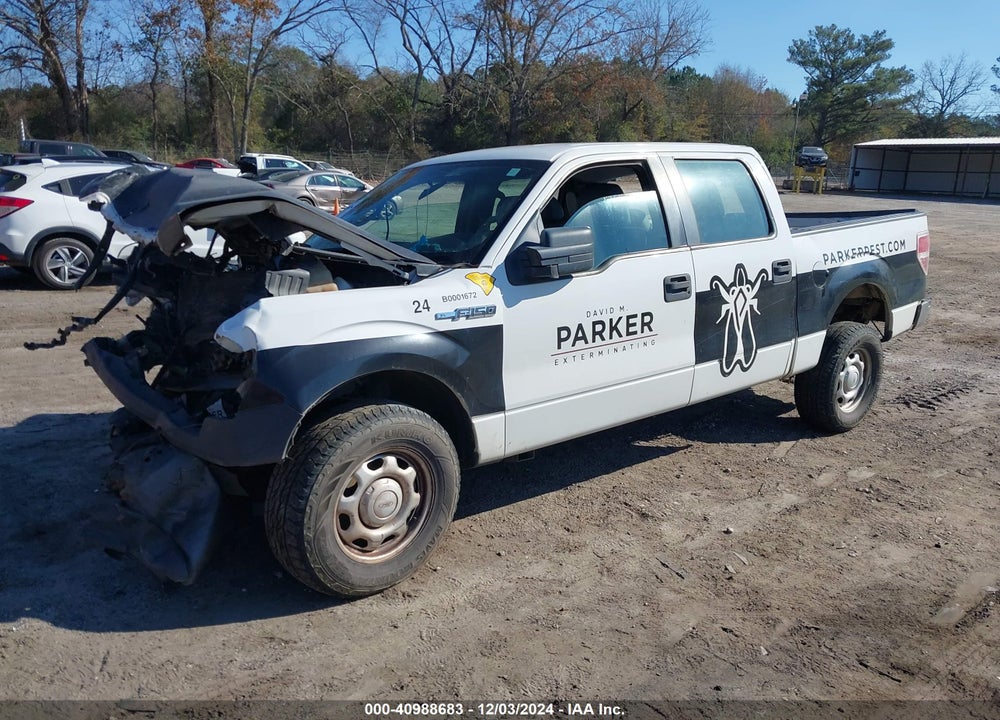 2011 FORD F-150 XL VIN: 1FTFW1EF7BFC69477