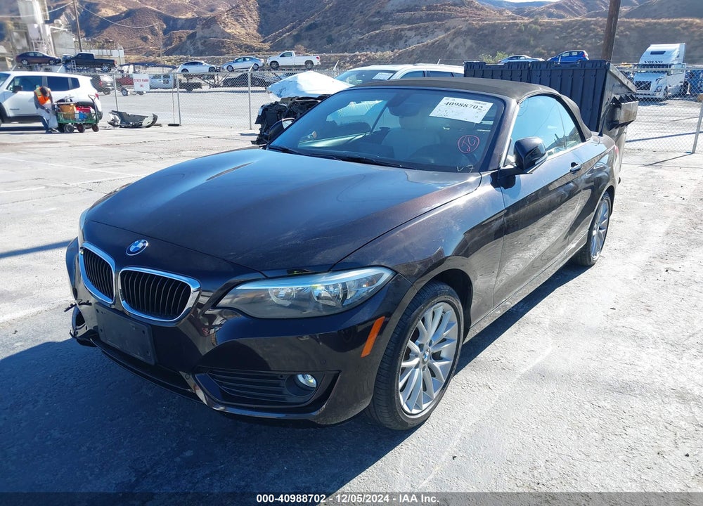 2015 BMW 228I VIN: WBA1K5C54FV474156