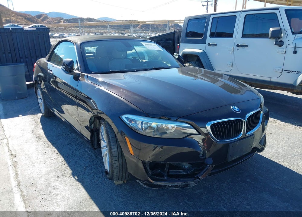 2015 BMW 228I VIN: WBA1K5C54FV474156