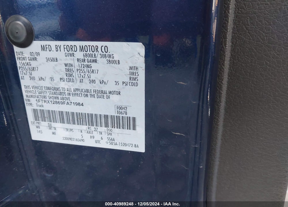 2009 FORD F-150 STX/XL/XLT VIN: 1FTRX12869FA71984