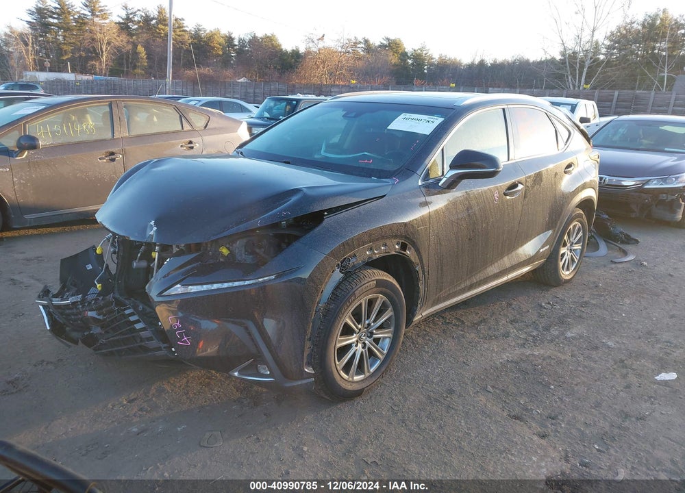 2019 LEXUS NX 300H VIN: JTJBJRBZXK2106028