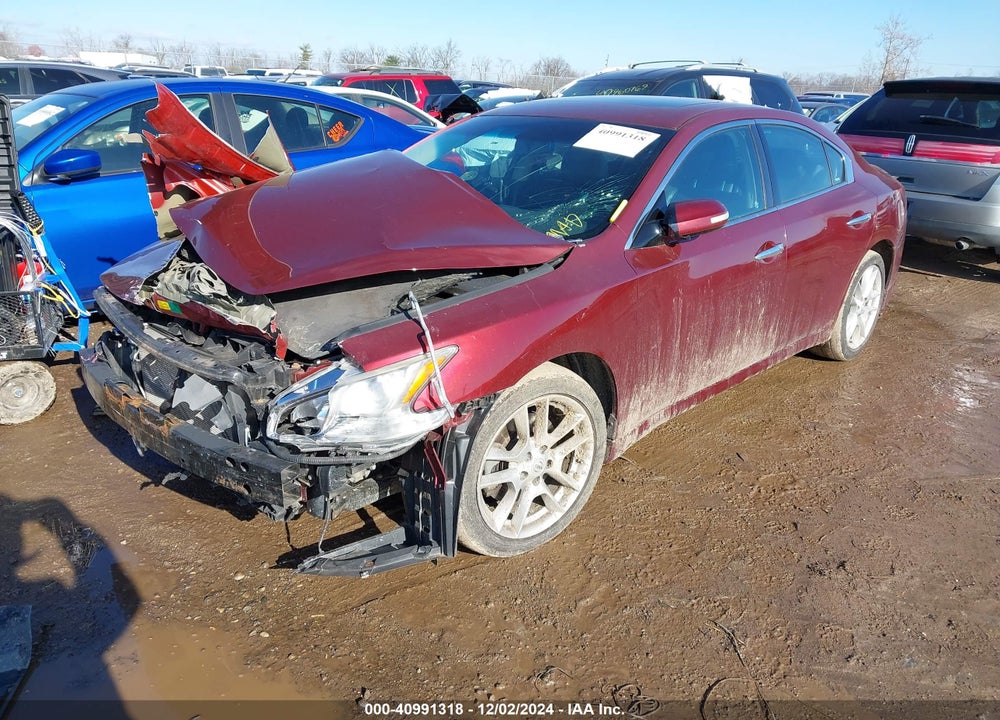 2010 NISSAN MAXIMA 3.5 SV VIN: 1N4AA5AP3AC827183