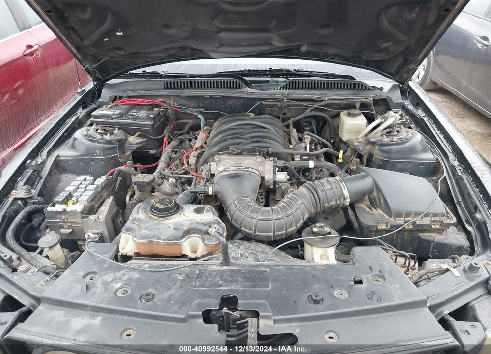 2006 FORD MUSTANG GT VIN: 1ZVHT85H265199505