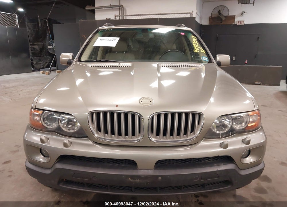 2006 BMW X5 4.4I VIN: 5UXFB53586LV24706