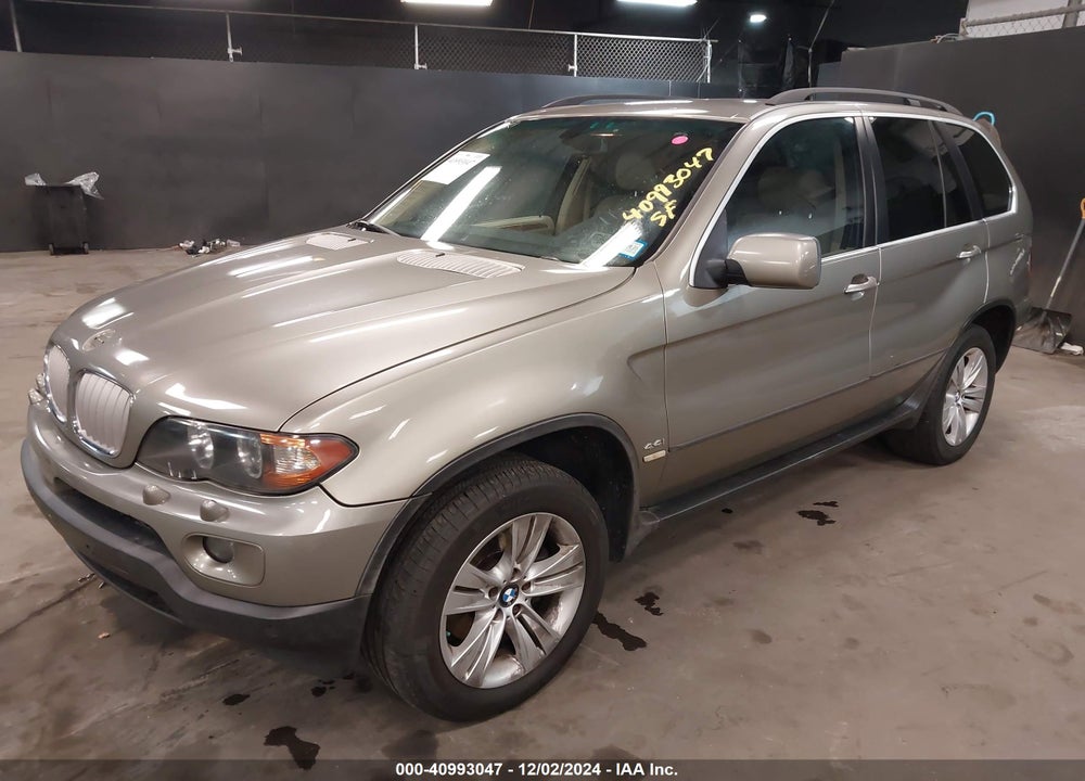 2006 BMW X5 4.4I VIN: 5UXFB53586LV24706