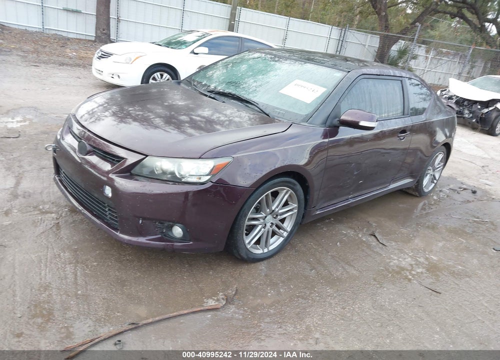2011 SCION TC VIN: JTKJF5C7XB3019545
