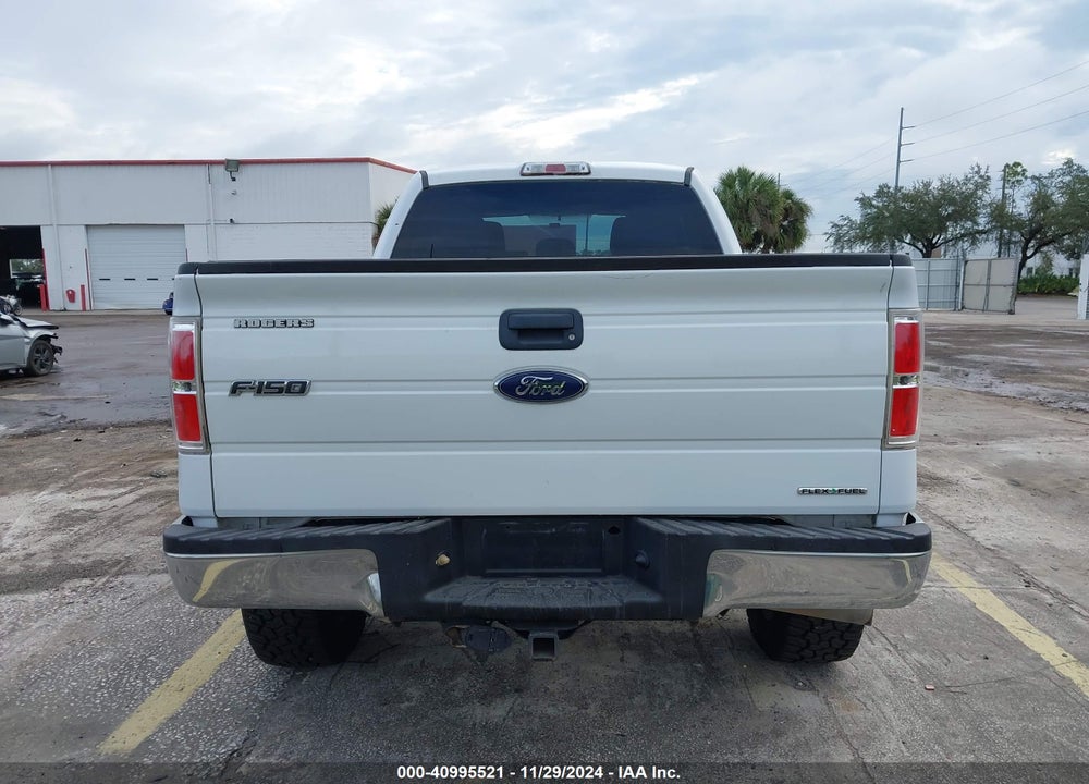 2014 FORD F-150 XLT VIN: 1FTFX1EFXEKG06670