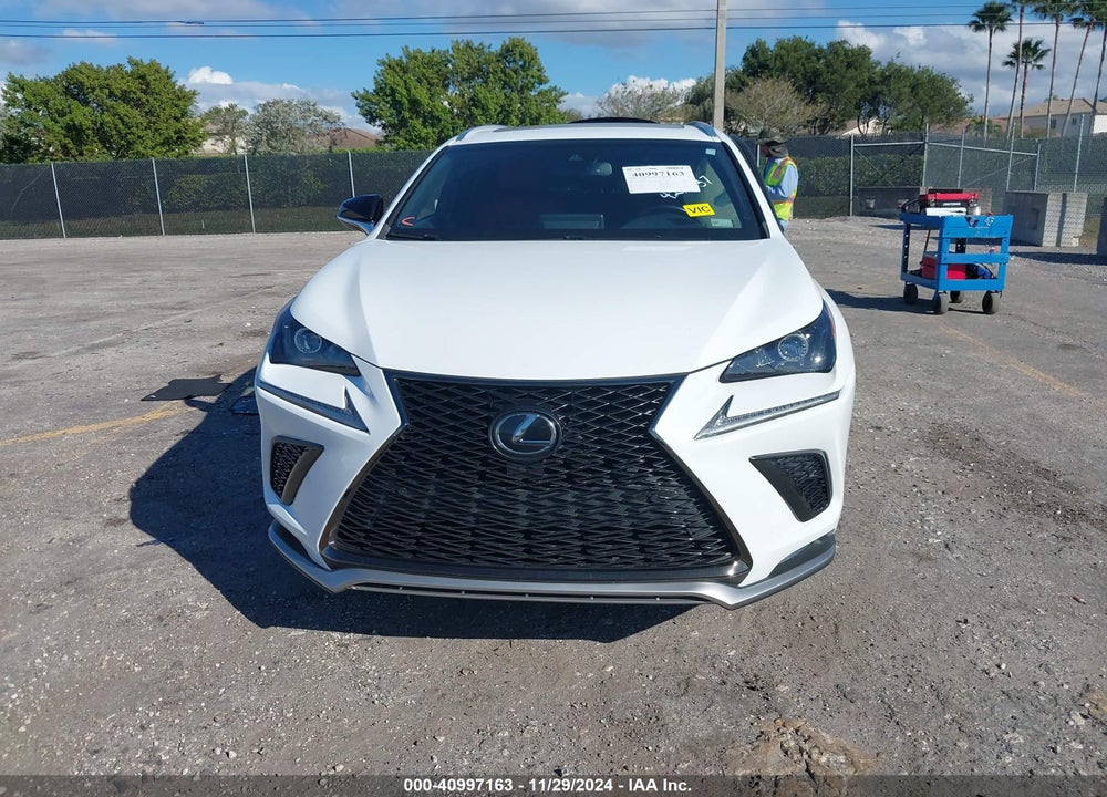 2019 LEXUS NX 300 F-SPORT VIN: JTJYARBZ0K2129733