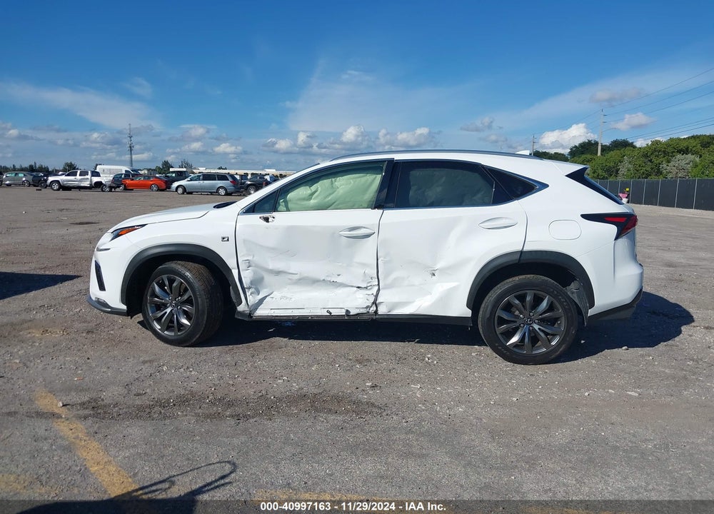 2019 LEXUS NX 300 F-SPORT VIN: JTJYARBZ0K2129733