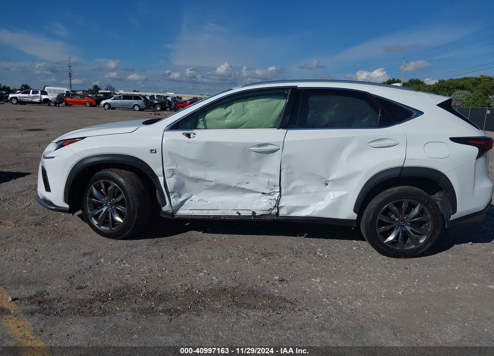 2019 LEXUS NX 300 F-SPORT VIN: JTJYARBZ0K2129733