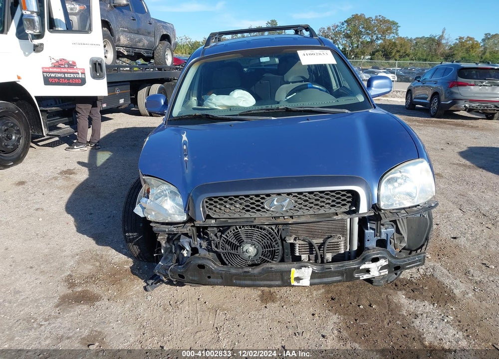 2003 HYUNDAI SANTA FE GLS/LX VIN: KM8SC13D33U370355