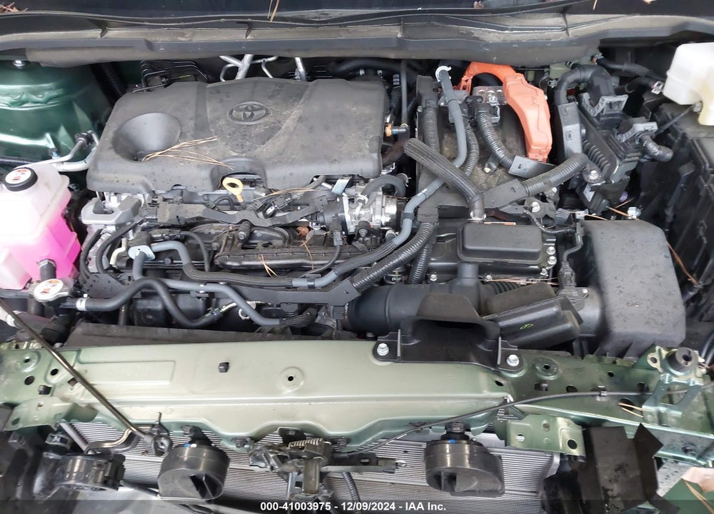 2024 TOYOTA SIENNA XLE VIN: 5TDJSKFC6RS112369