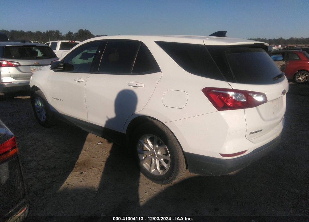 2019 CHEVROLET EQUINOX LS VIN: 2GNAXHEVXK6161332