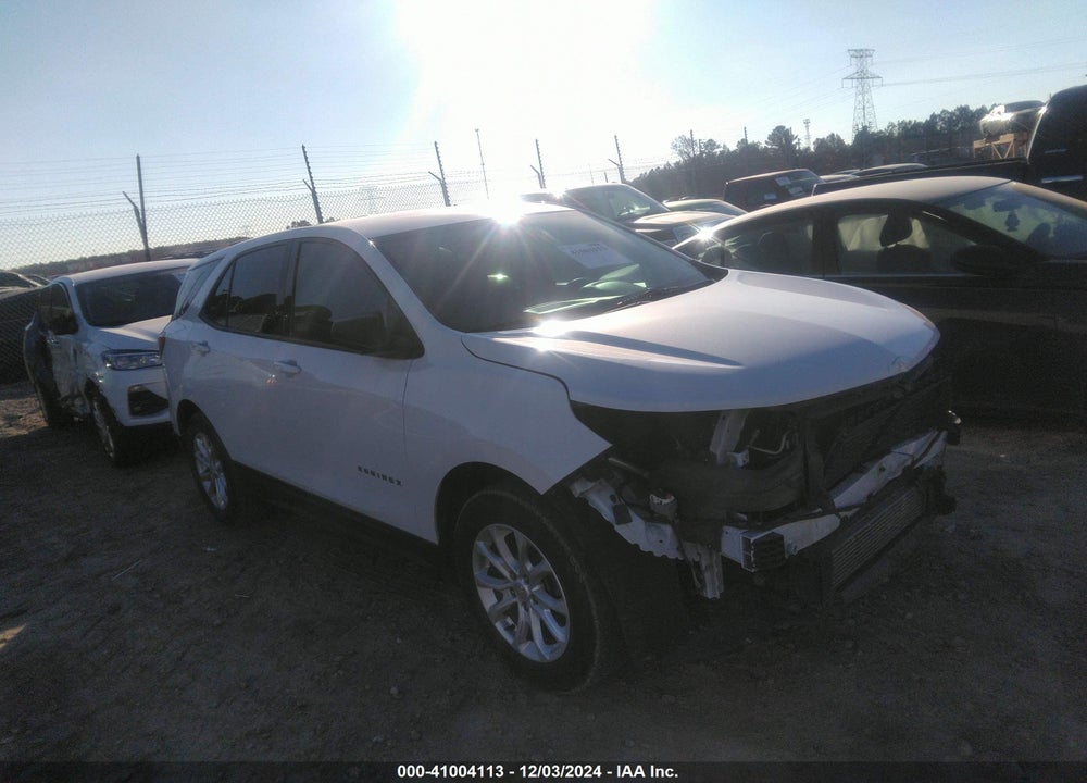 2019 CHEVROLET EQUINOX LS VIN: 2GNAXHEVXK6161332