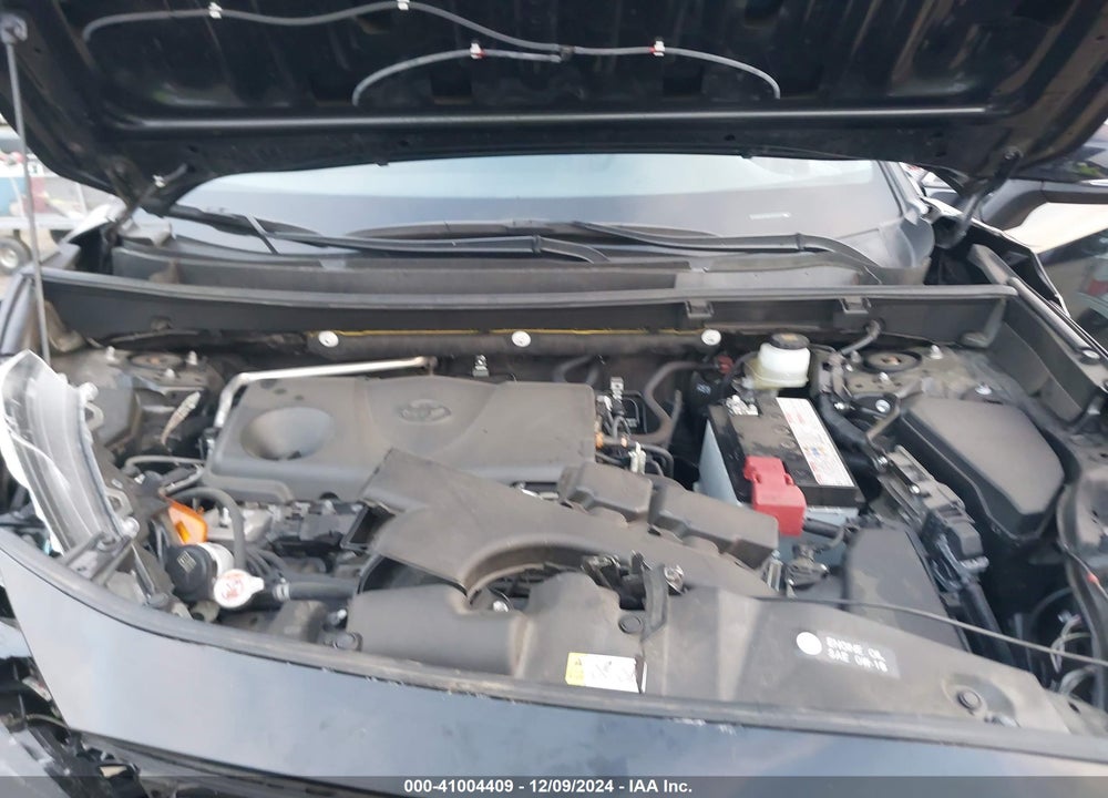 2019 TOYOTA RAV4 XLE VIN: JTMW1RFV8KJ012411