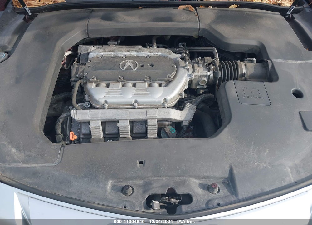 2009 ACURA TL 3.5 VIN: 19UUA86519A005491