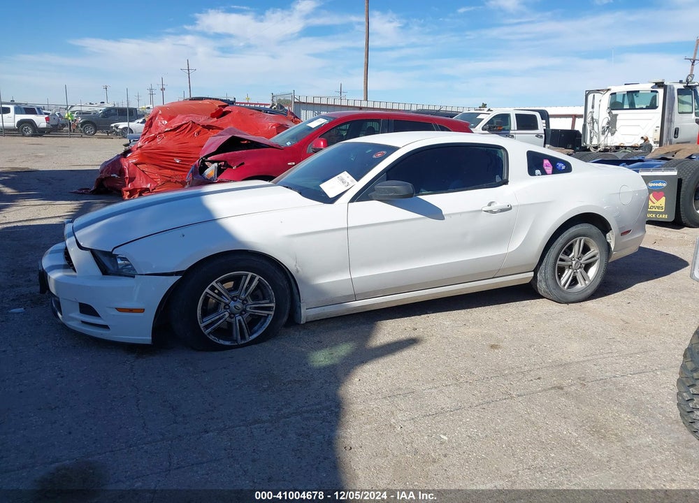 2013 FORD MUSTANG VIN: 1ZVBP8AM2D5262564