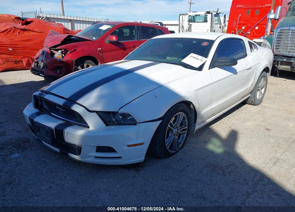 2013 FORD MUSTANG VIN: 1ZVBP8AM2D5262564