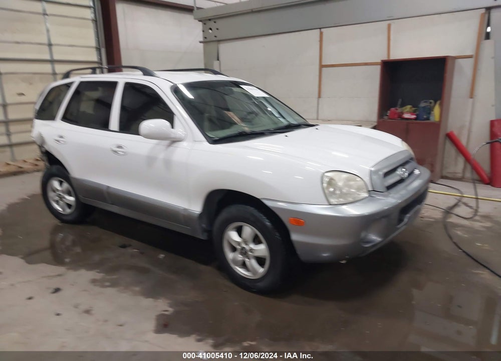 2005 HYUNDAI SANTA FE GLS/LX VIN: KM8SC73E05U892892