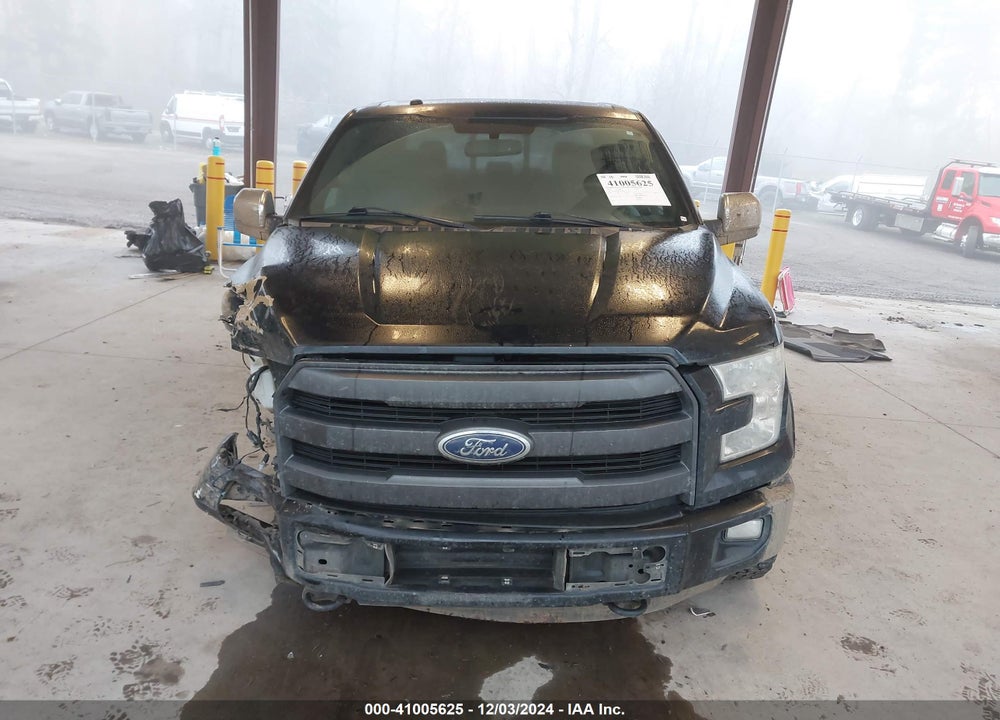 2016 FORD F150 VIN: 1FTEW1EG0GKE47846