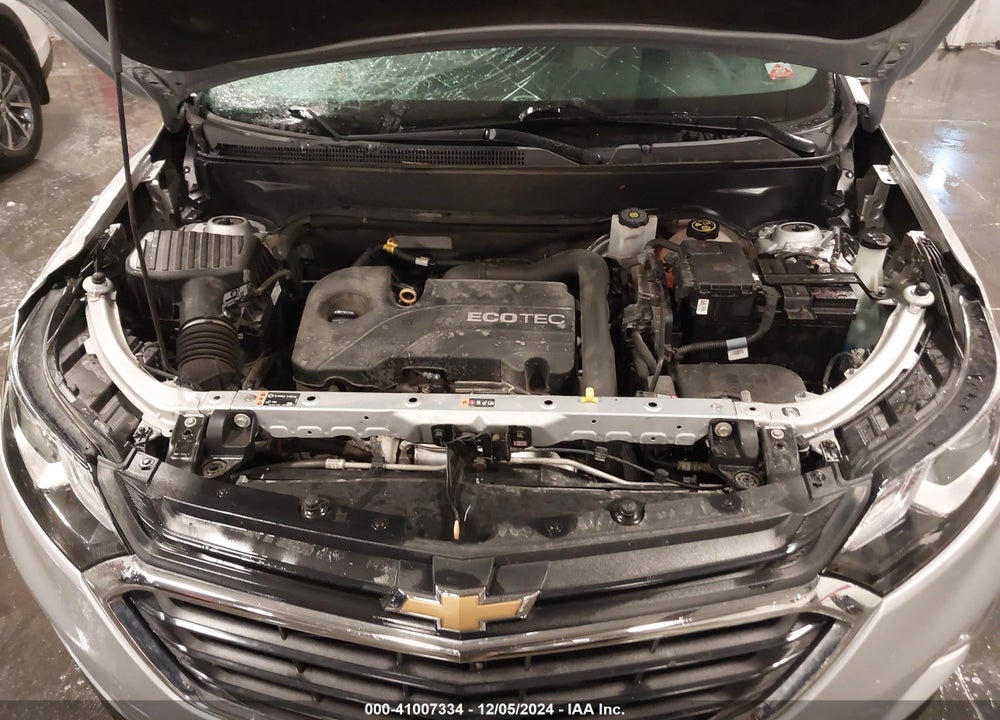 2019 CHEVROLET EQUINOX LS VIN: 2GNAXHEV4K6119030