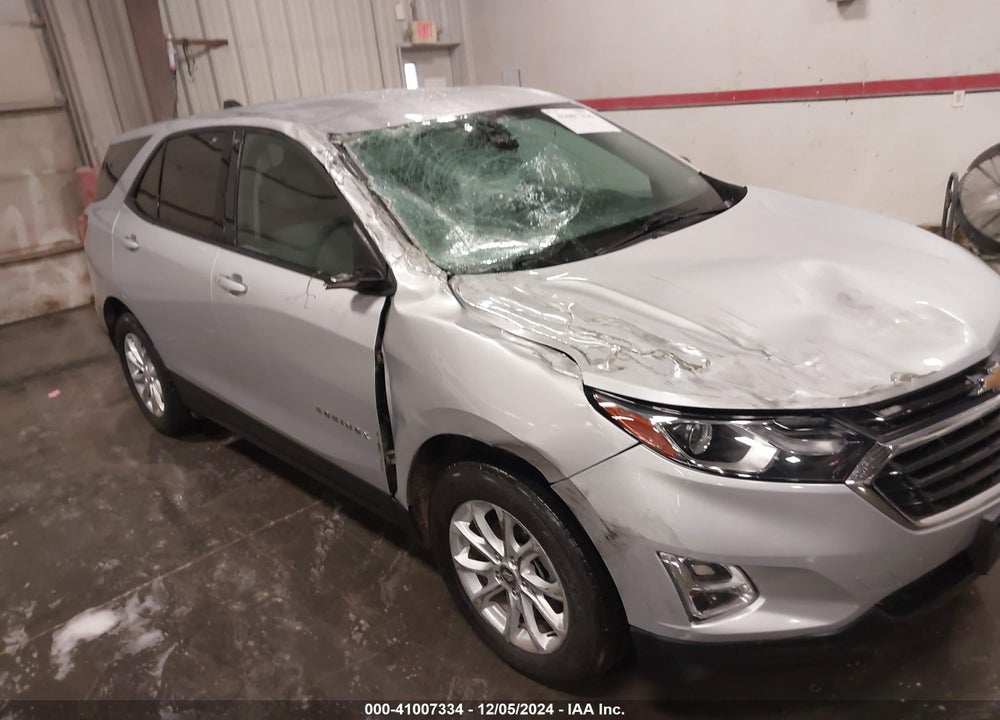 2019 CHEVROLET EQUINOX LS VIN: 2GNAXHEV4K6119030