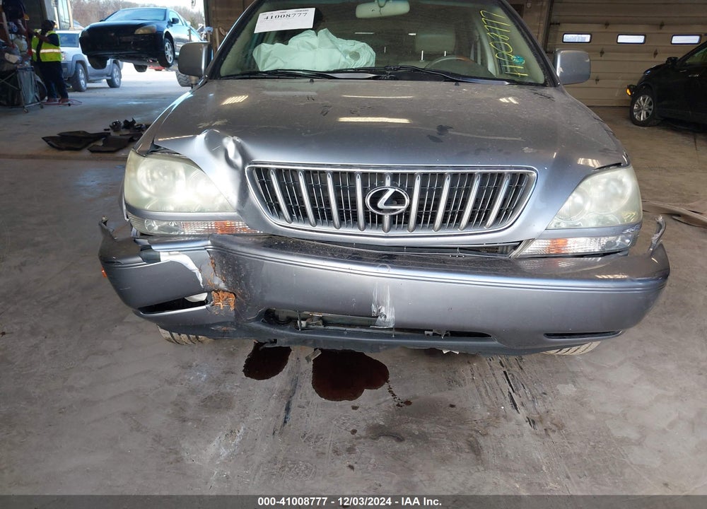 2002 LEXUS RX 300 VIN: JTJHF10U120237252