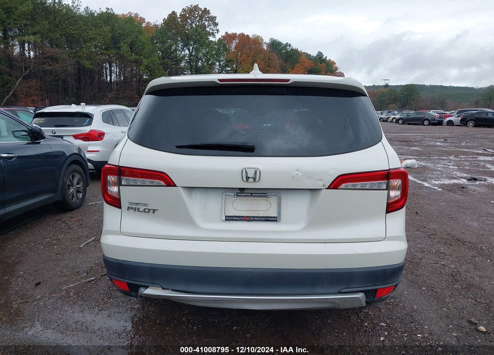 2019 HONDA PILOT EX-L VIN: 5FNYF5H50KB033874