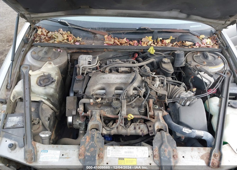 1996 CHEVROLET LUMINA VIN: 2G1WL52M6T1151246