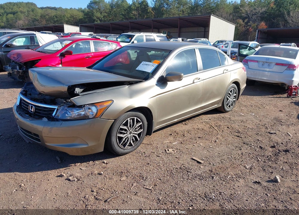 2010 HONDA ACCORD VIN: 1HGCP2F39AA163832