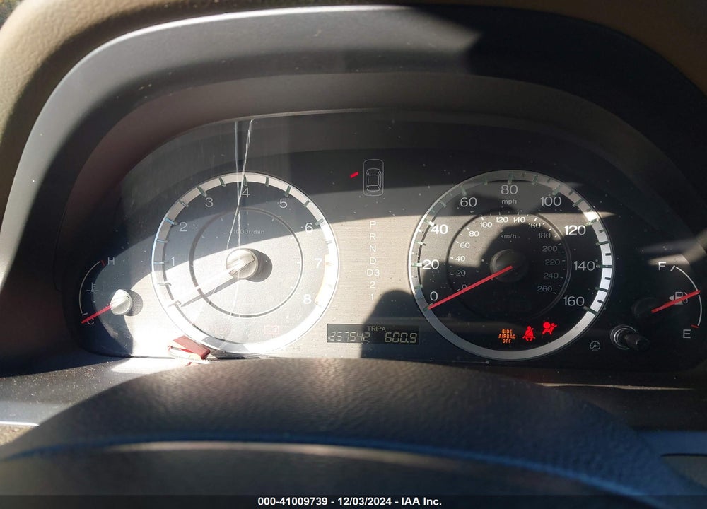 2010 HONDA ACCORD VIN: 1HGCP2F39AA163832