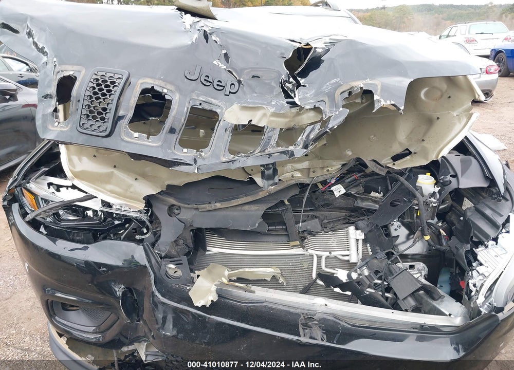 2021 JEEP CHEROKEE ALTITUDE FWD VIN: 1C4PJLLB1MD204413