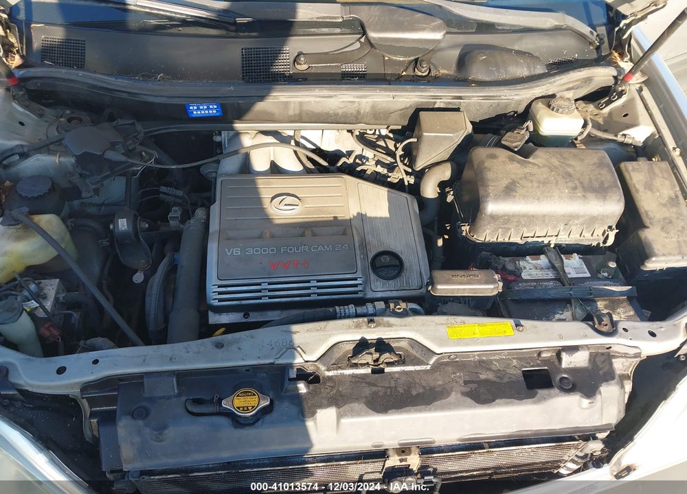 2002 LEXUS RX 300 VIN: JTJHF10U820254663